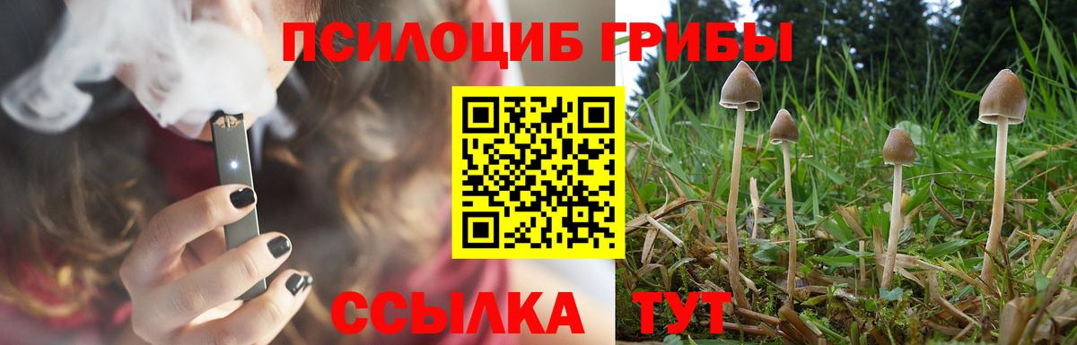 Галлюциногенные грибы Cubensis Фурманов