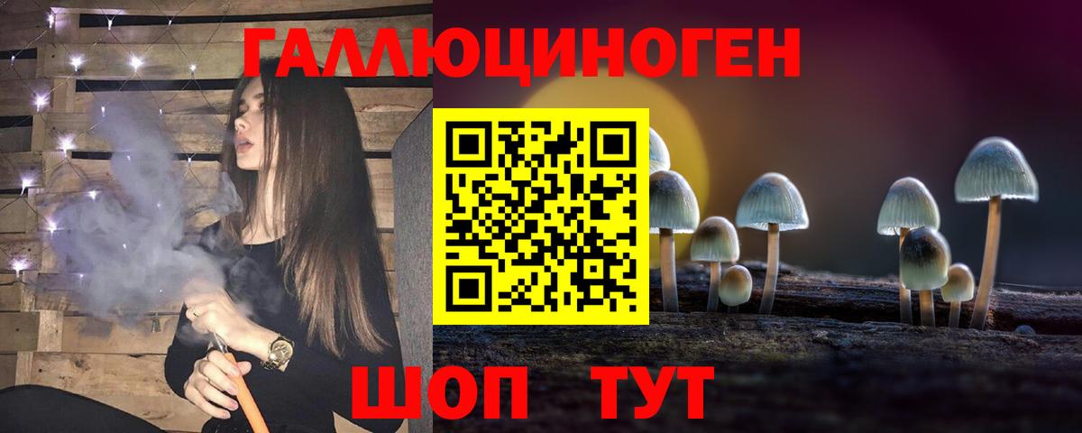 купить   Вход с VPN  Фурманов  Галлюциногенные грибы прущие грибы 